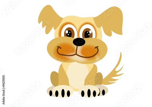 pies, Kooikerhondje