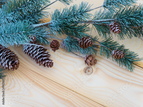 Christmas background with fir branches