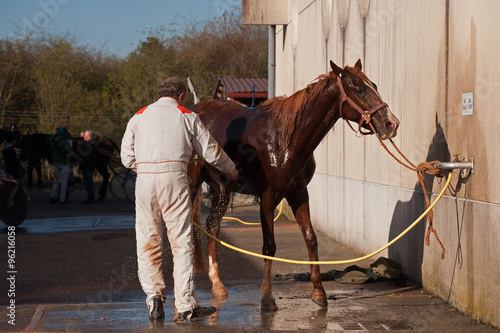 douche du cheval photo