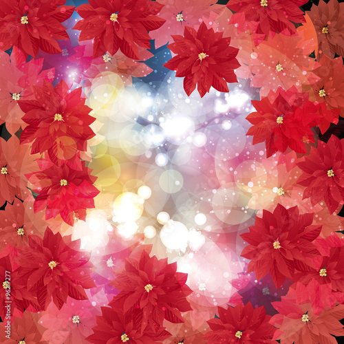 poinsettia background