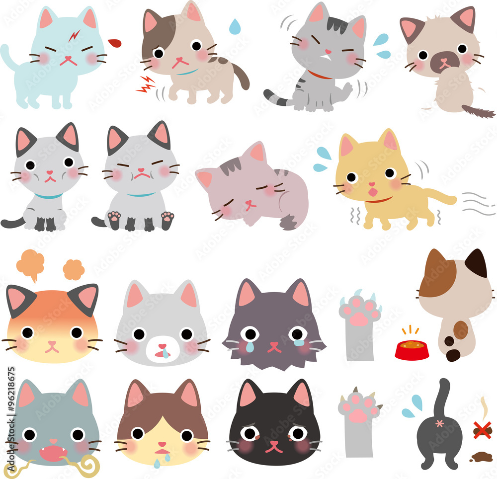 猫の病気と怪我、異常