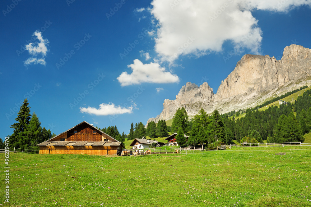 cottages in a green meadow in south tyrol
