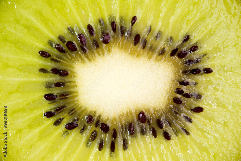 Macro slice of kiwi.