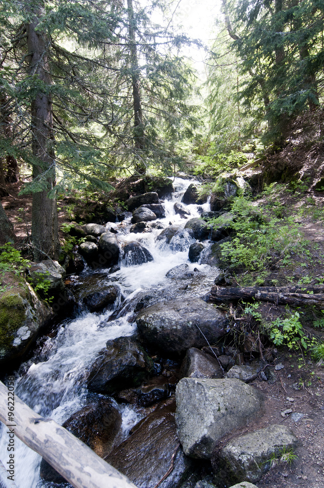 Vitosha Mountain National Park River in Forest , Bulgaria Vitosha Mountain National Park River in Forest , Bulgaria