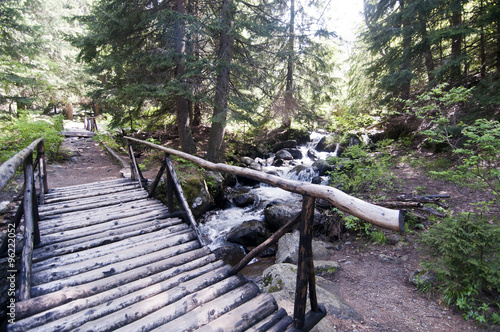 Wooden bridge and pathway in Vitosha Mountain forest Bulgaria