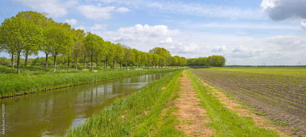 Canal through sunny farmland in spring 