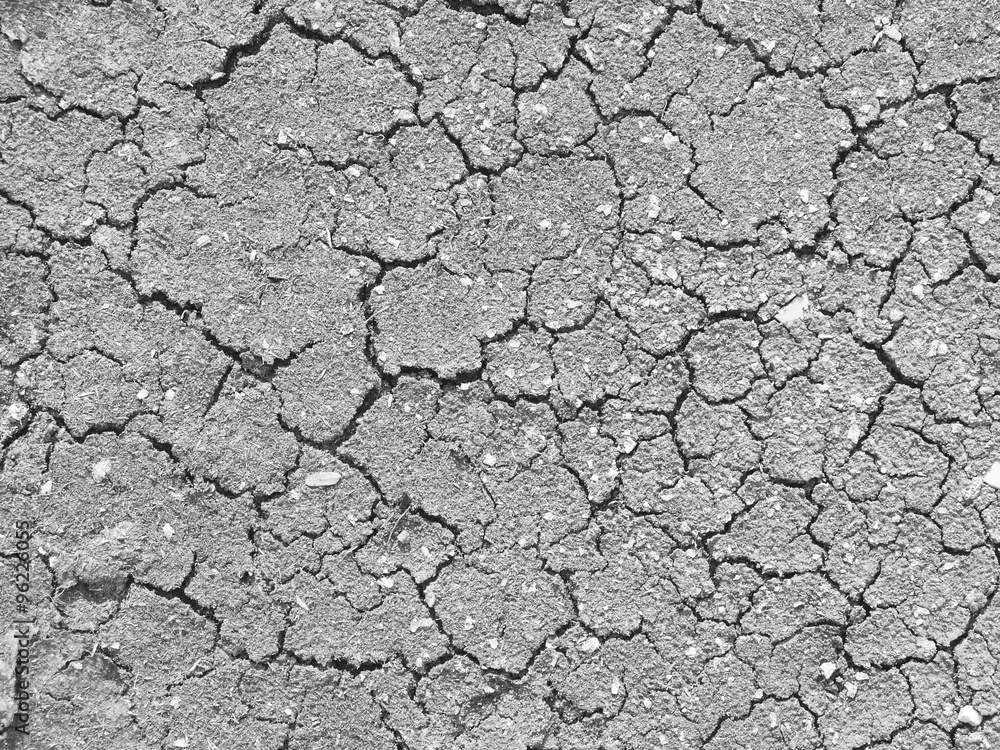 dry cracked soil texture and background on dry season (grayscale) dry cracked soil texture and background on dry season (grayscale)