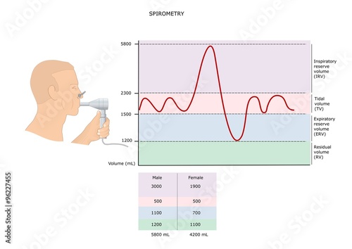 spirometria: test per la valutazione della capacità polmonare