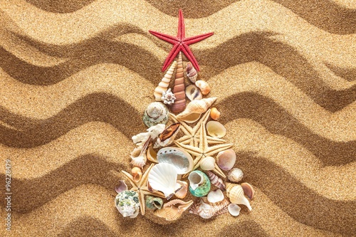 Fototapeta Naklejka Na Ścianę i Meble -  Tree.