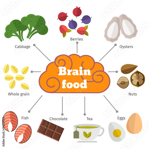 Brain food vector flat infographics