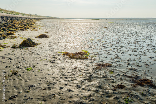 Mudflats of a Dutch estuary at low tide