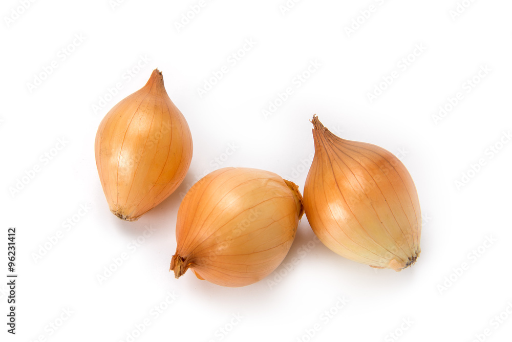 Fototapeta premium ペコロス