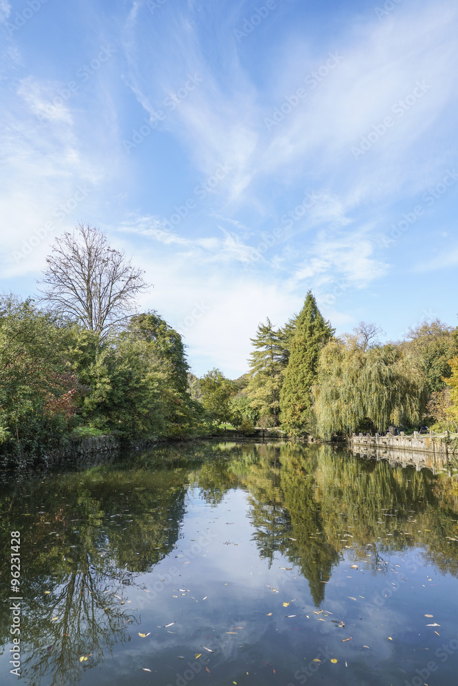 reflection of autumn trees on lake