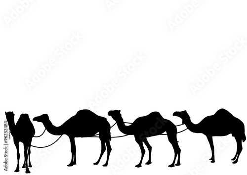 Kamelkarawane