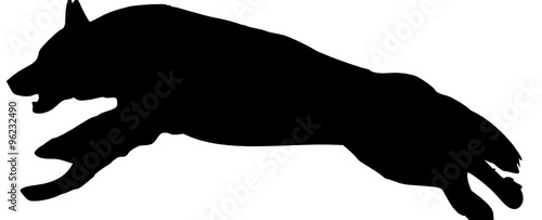 Schäferhund springend