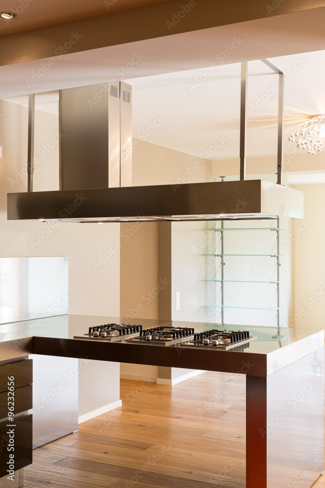 Fototapeta premium Modern kitchen of apartment