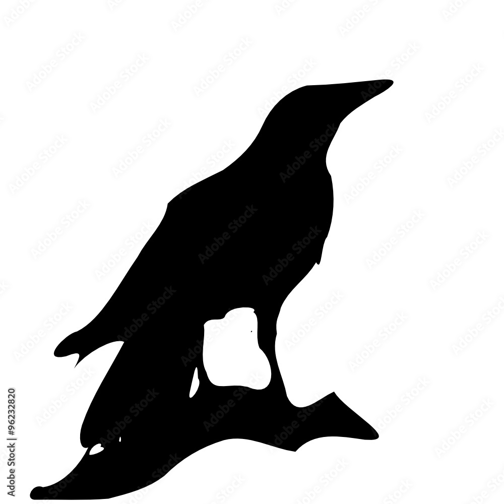 raven on the branch raven on the branch