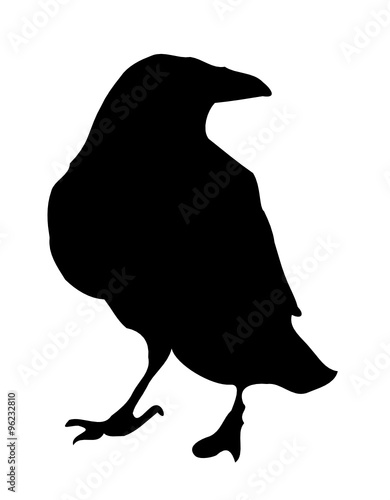 raven 4