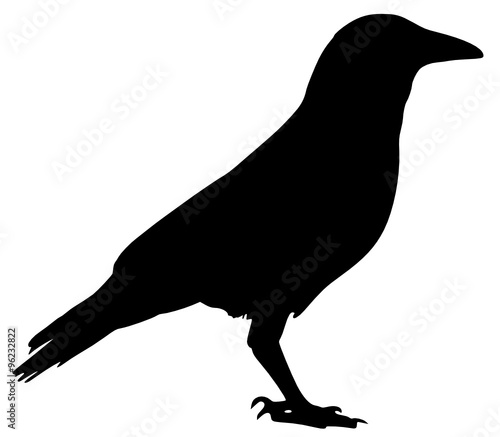 raven2