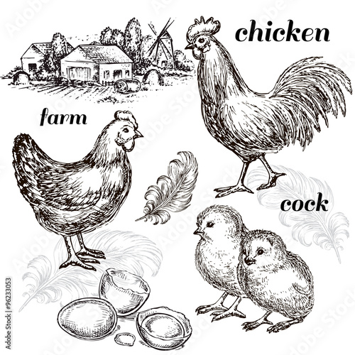 hand drawn set poultry farm