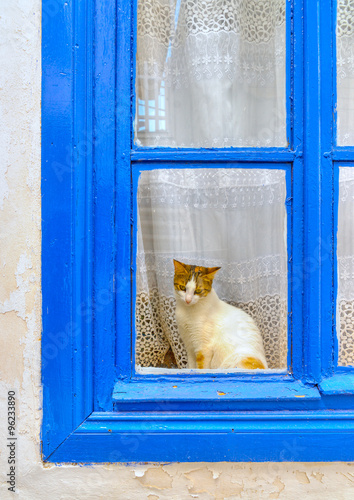 At Hydra island in Greece