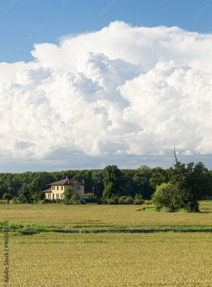 Countryside of Pavia (Italy)