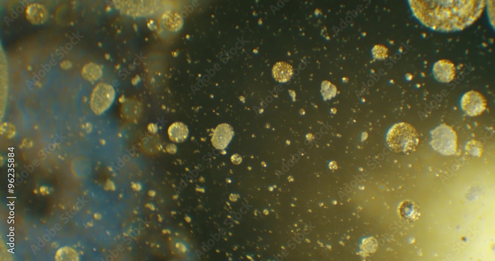 Golden drops floating in oil and water over a colorful underground with oil painting effect. Shot on RED Golden drops floating in oil and water over a colorful underground with oil painting effect. Shot on RED