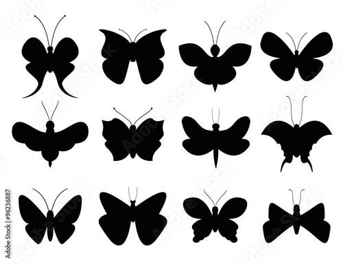 Butterflies black and white flat style vector collection © Vectorvstocker
