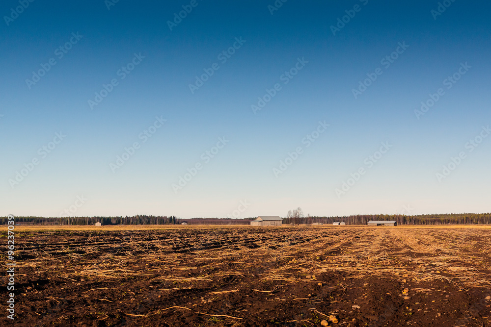 Fototapeta premium Empty Potato Fields
