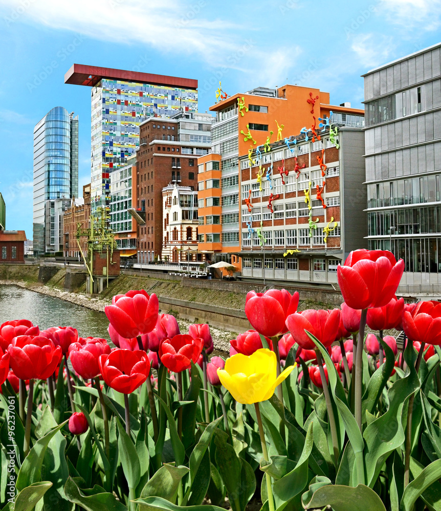 City landscape with tulips and modern architecture in Dusseldorf