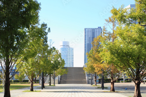 みなとみらいの公園風景
