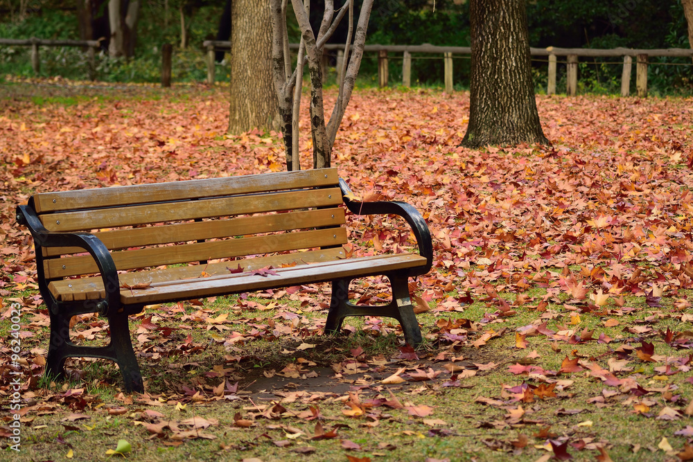 Autumn bench surrounded by fallen maple leaves. Autumn bench surrounded by fallen maple leaves.