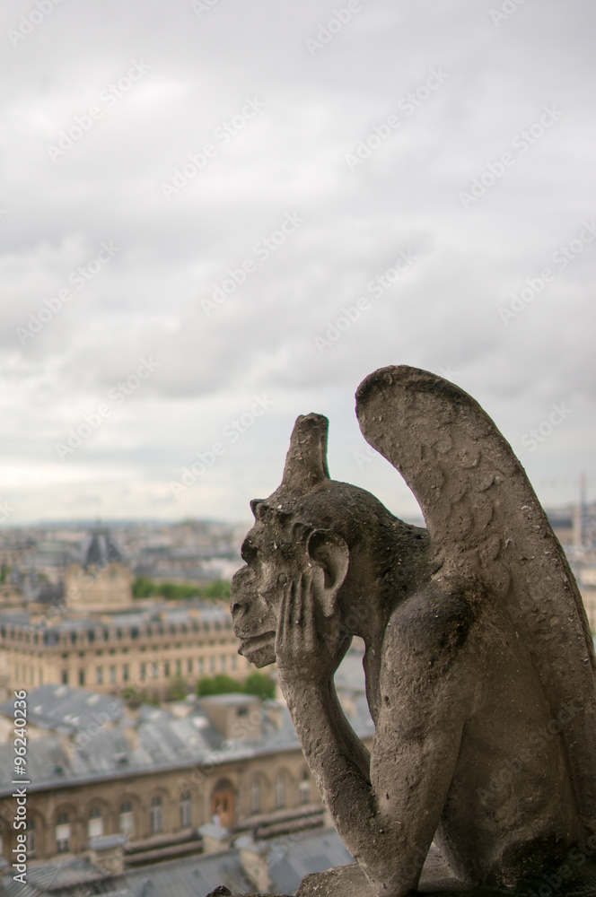 gargoyle_Cathédrale Notre-Dame de Paris,
landscape of France