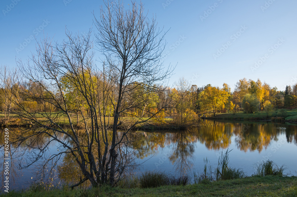 Autumn water landscape with bright colorful yellow leaves in Saint-Petersburg region, Russia.