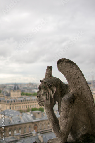 gargoyle_Cathédrale Notre-Dame de Paris, landscape of France