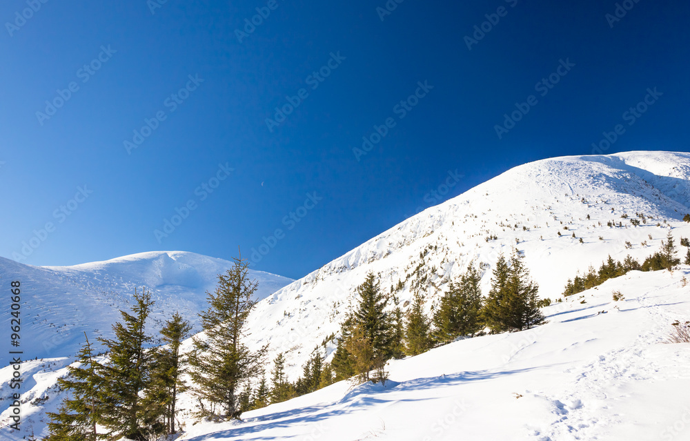 Fototapeta premium Winter mountain landscape at sunny day