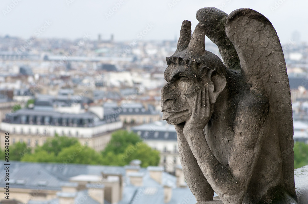 gargoyle_Cathédrale Notre-Dame de Paris,
landscape of France