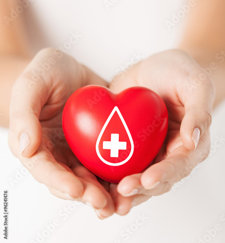 Foto female hands holding red heart with donor sign