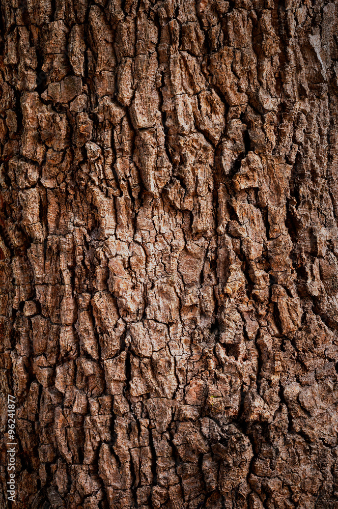 Wooden texture background