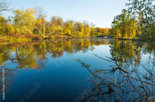 Fototapeta Naklejka Na Ścianę i Meble -  Autumn water landscape with bright colorful yellow leaves in Saint-Petersburg region, Russia.
