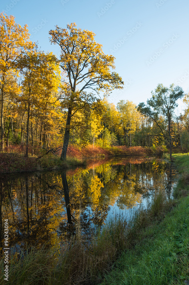 Autumn water landscape with bright colorful yellow leaves in Saint-Petersburg region, Russia.
Autumn water landscape with bright colorful yellow leaves in Saint-Petersburg region, Russia.