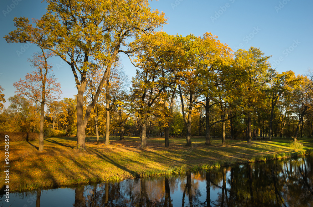 Autumn water landscape with bright colorful yellow leaves in Saint-Petersburg region, Russia.
