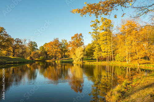 Autumn water landscape with bright colorful yellow leaves in Saint-Petersburg region, Russia. 