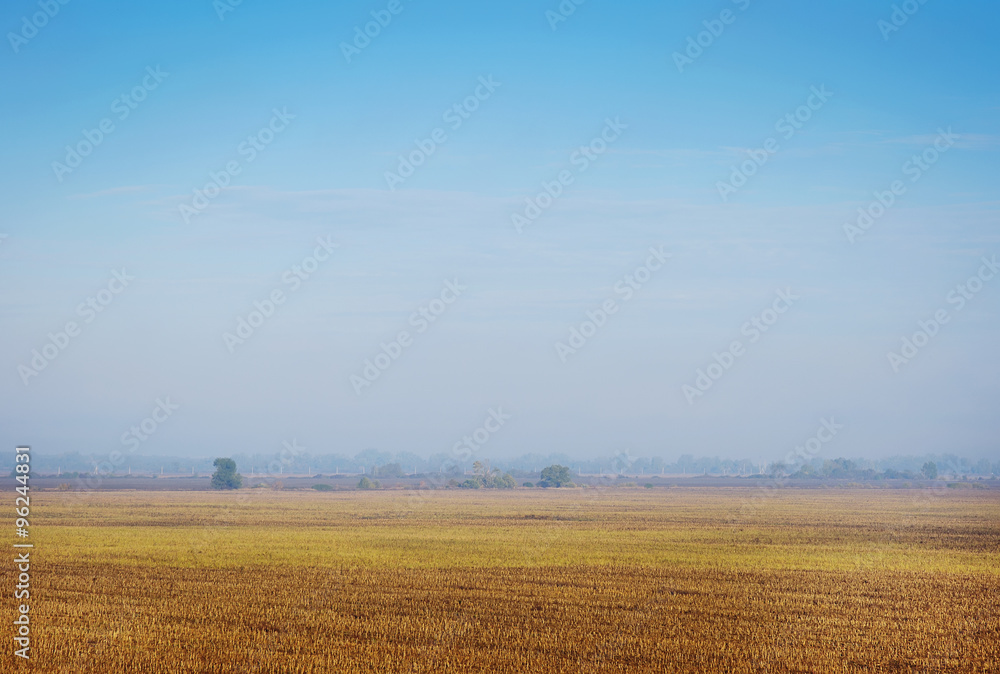Fototapeta premium Sunny meadow. Hills in the sunlight.