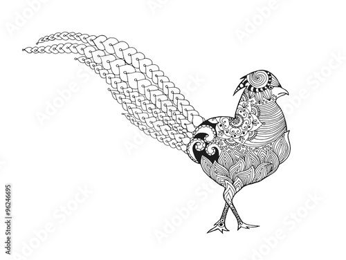 Zentangle stylized pheasant