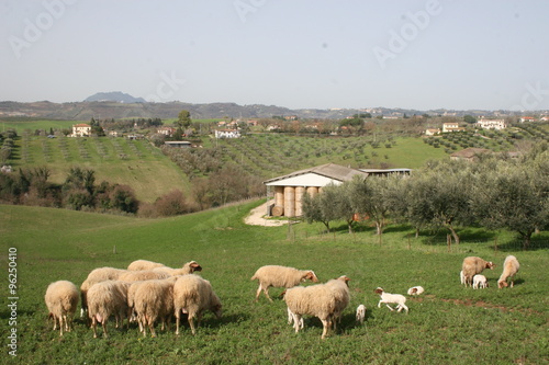 paesaggio rurale © Fabio Pedrazzi