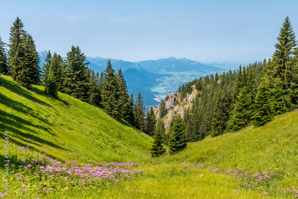 Beautiful Landscape in Allgäu -  Alps, Tegelberg