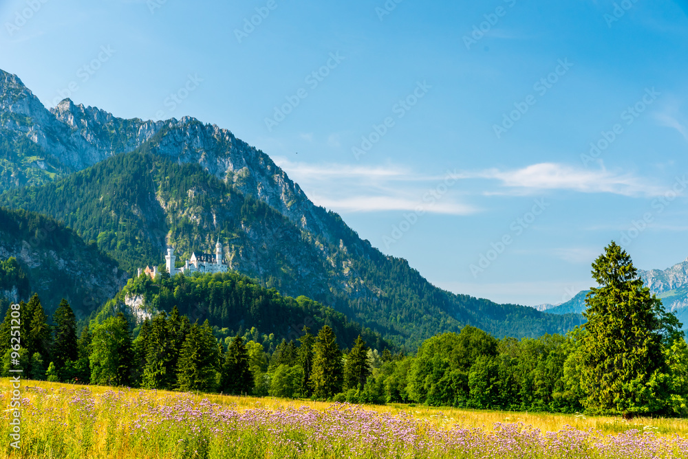 Beautiful Landscape in Allgäu -  Alps, Tegelberg
