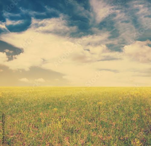 sky and green fields