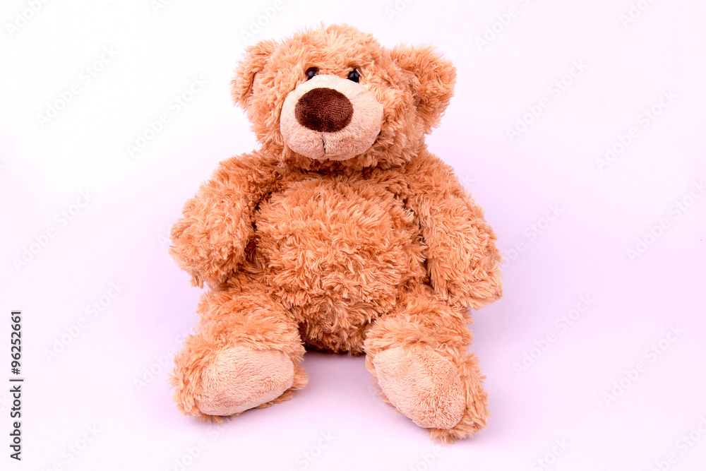 Brown toy bear on white background